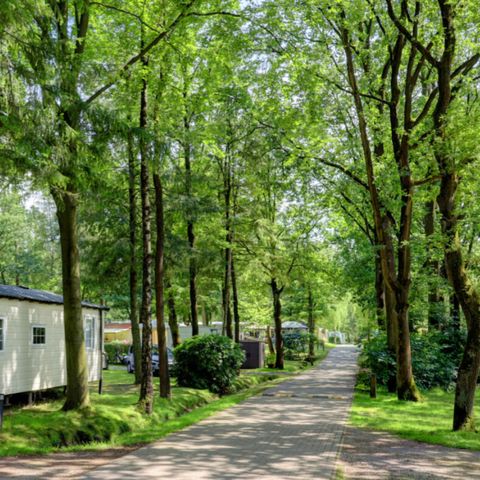 Vodatent Camping het Veen - Camping Westflandern - Image N°2