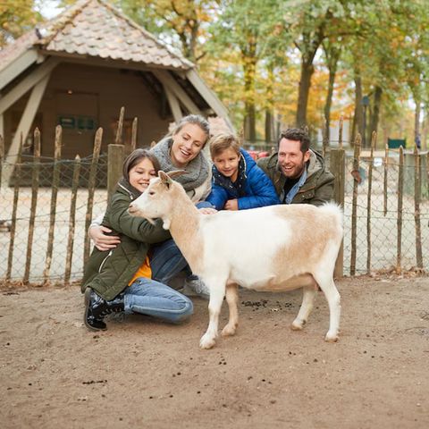 Center Parcs Nordborg Resort - Camping Süd-Dänemark - Image N°4