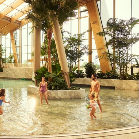 Center Parcs Nordborg Resort - Süd-Dänemark - Image N°3