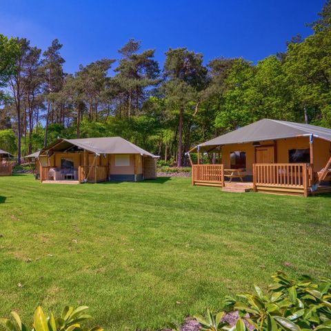 Safarizelt 6 Personen - einschließlich sanitärer Einrichtungen