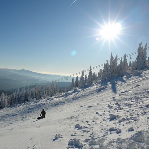 Landal Arber - Bayern - Image N°4