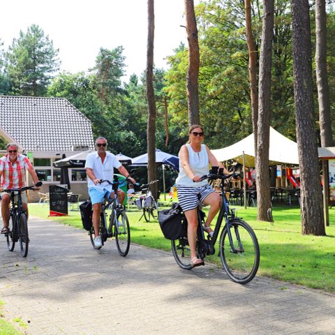 Stellplatz - Gepflasterter Wohnmobilstellplatz | Mit Stromanschluss