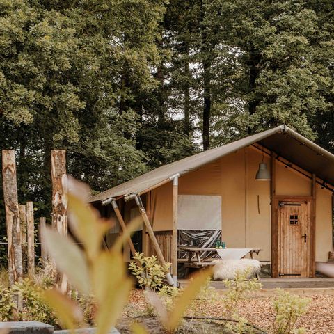 SafariZelt 6 Personen