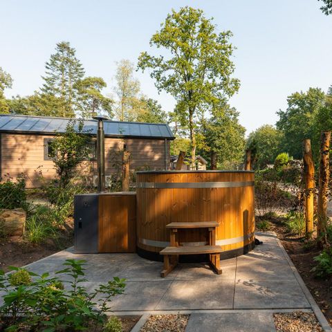 Veluwepark de Bosgraaf - Apeldoorn - Image N°3
