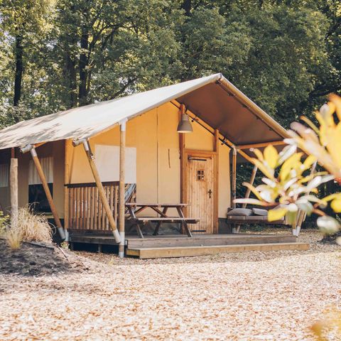 Veluwepark de Bosgraaf - Apeldoorn - Image N°4