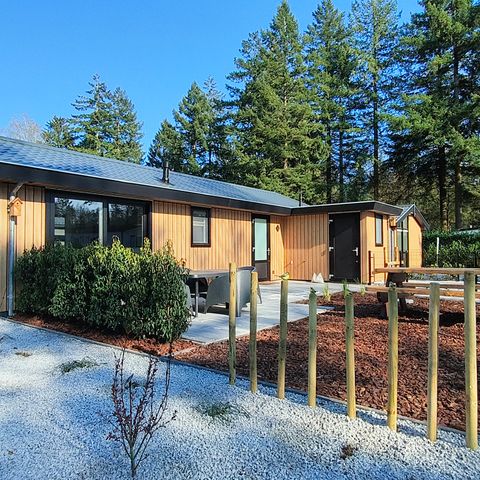 Chalet 4 Personen - Der Boshoek