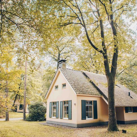 Bungalow 4 Personen - Esdorp mit Kastenbett | 4+2 Personen