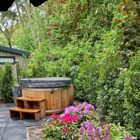 Chalet 4 Personen - Sumpfdotterblume mit Whirlpool