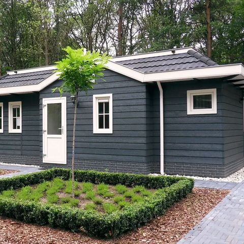 Chalet 6 Personen - Sumpfdotterblume mit Whirlpool