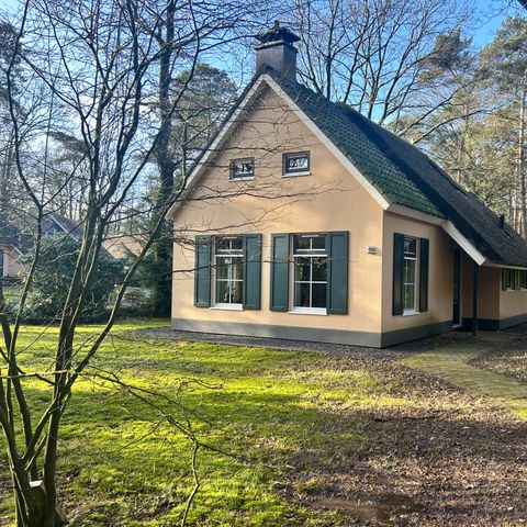 Bungalow 6 Personen - Esdorp Basic mit Bettgestell | 4+2 Personen