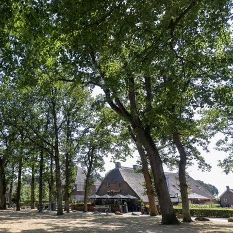 Buitenplaats de Hildenberg - Camping Ooststellingwerf - Image N°2
