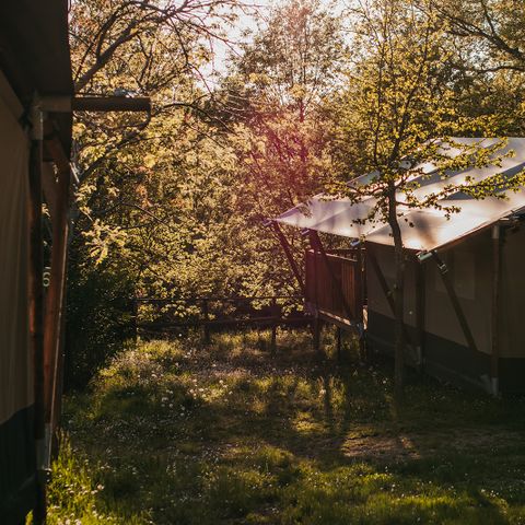 Safarizelt 6 Personen - Garten