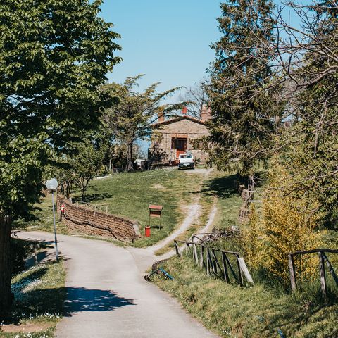 Vodatent Camping Lucherino - Grosseto - Image N°5