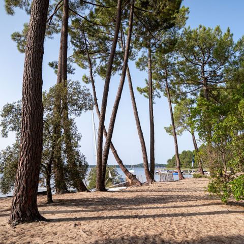  Camping Le Tedey - Gironde - Image N°4