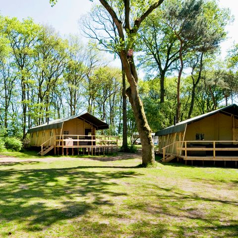 LODGE 6 Personen - Sommer