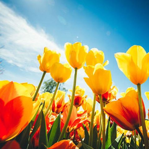 AUßERGEWÖHNLICHE UNTERKUNFT 4 Personen - Aqua Lodge