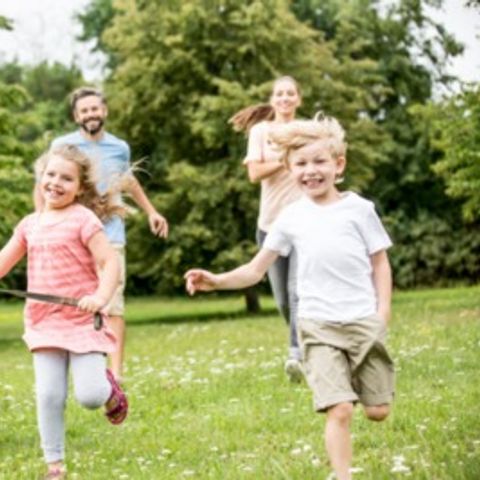 Floreal Holidays Camping Het Veen - Westflandern - Image N°4