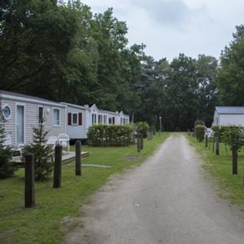 Floreal Holidays Camping Het Veen - Camping Westflandern - Image N°4
