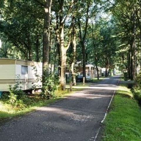 Floreal Holidays Camping Het Veen - Camping Westflandern - Image N°3