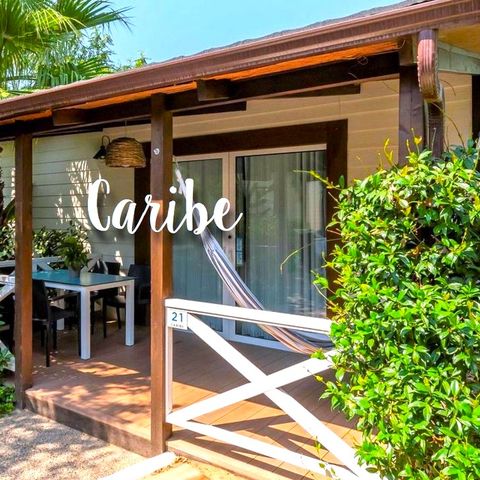 Bungalow 3 Personen - Bungalow Premium Caribe 3 Pers.