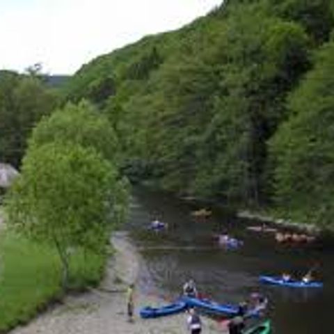 Camping Floreal Le Festival - Camping Belgisches Luxemburg - Image N°4