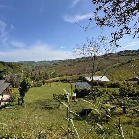 Zelt 4 Personen - Glampingzelt inkl. Sanitäranlagen