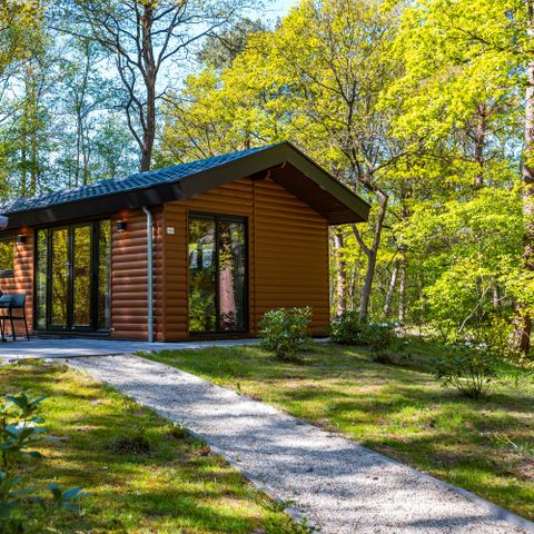 Chalet 4 Personen - Sterrenborg Hütte