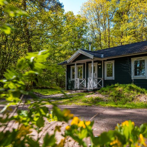 Chalet 6 Personen - Vennenborg Hütte mit Whirlpool
