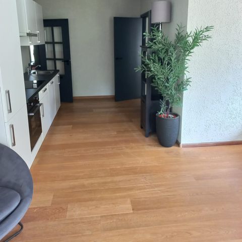 FERIENHAUS 10 Personen - Die Havezate mit Sauna