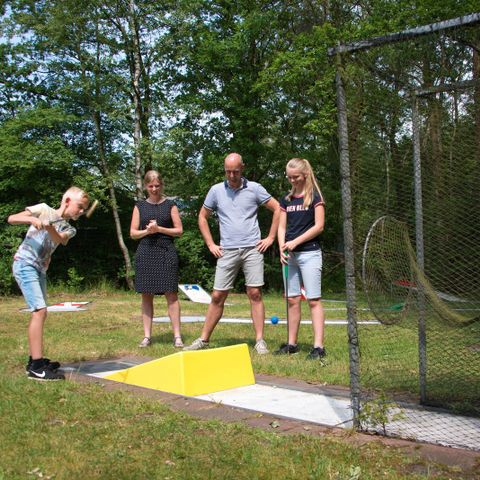 Vakantiepark De Wiltzangh - Camping De Wolden - Image N°5