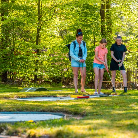 Vakantiepark De Wiltzangh - Camping De Wolden - Image N°3