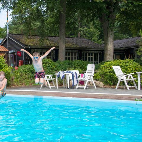 Vakantiepark De Wiltzangh - Camping De Wolden - Image N°4