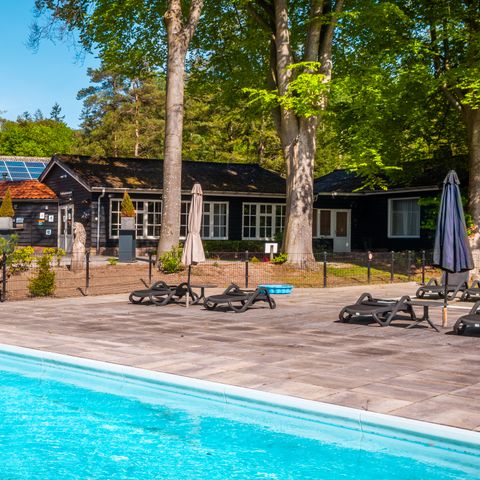 Vakantiepark De Wiltzangh - Camping De Wolden - Image N°2