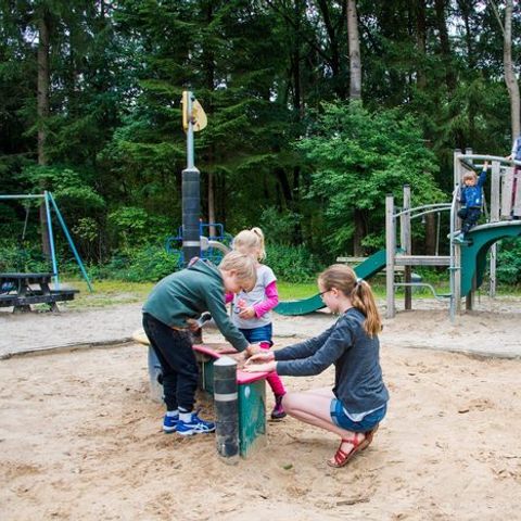 Vakantiepark De Wiltzangh - Camping De Wolden - Image N°3