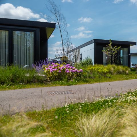 LODGE 5 Personen - Reedland