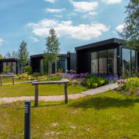 LODGE 5 Personen - Reedland