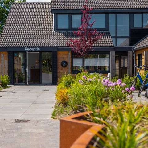 Vakantiepark De Wiedense Meren - Camping Steenwijkerland - Image N°5