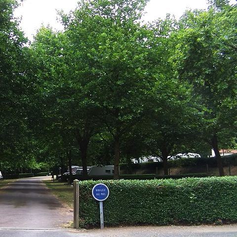 Camping du lac Pouzauges - Camping Vendée - Image N°2