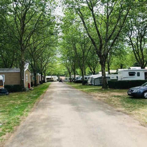 Camping du lac Pouzauges - Camping Vendée - Image N°6