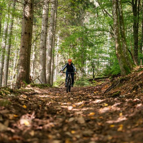 Anatura Ardenne - Belgisches Luxemburg - Image N°4
