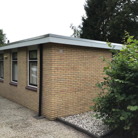Bungalow 4 Personen - Goldener Hafer