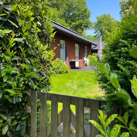 FERIENHAUS 4 Personen - Der Dale