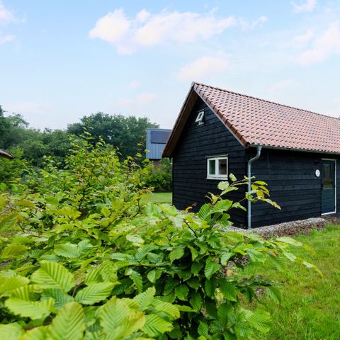 Ferienhaus 4 personen - Waldhäuschen Luna