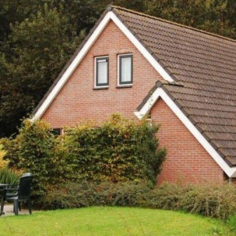 Bungalow 6 Personen - Wacholder