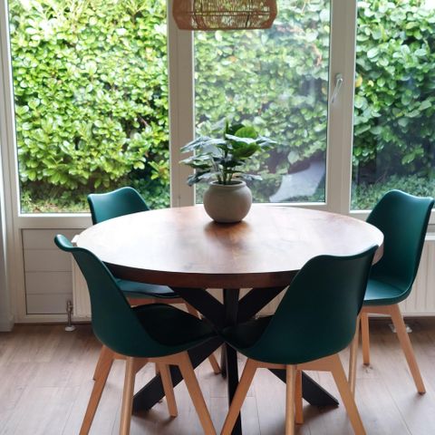 Bungalow 4 Personen - Heide