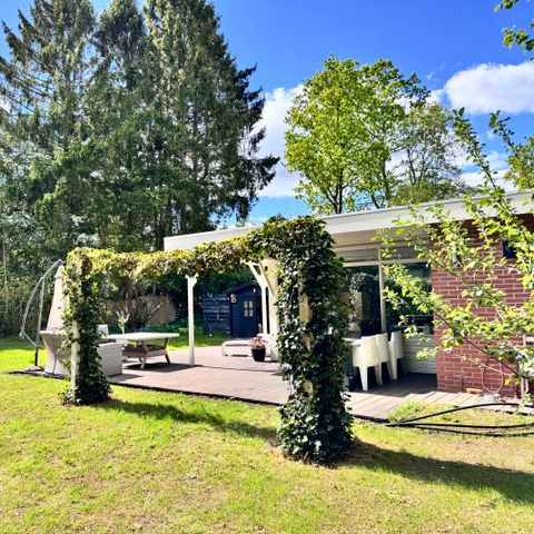 Bungalow 4 Personen - Schmetterlingsstrauch