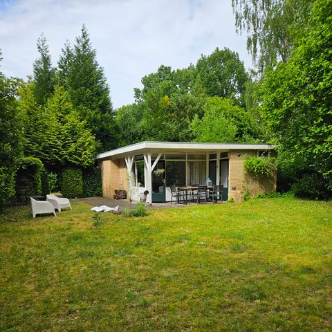 Bungalow 4 personen - Eichhörnchen