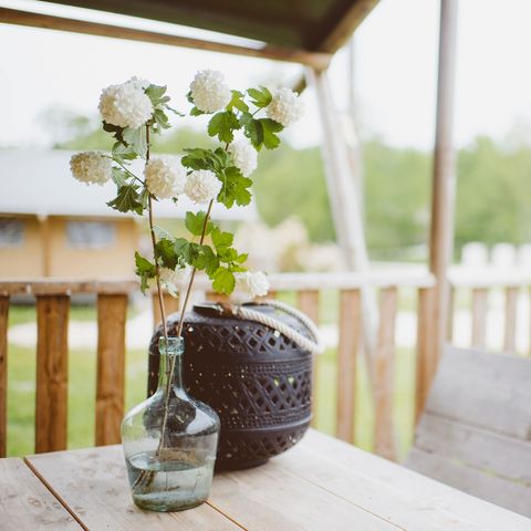 SafariZelt 6 Personen - einschließlich sanitärer Einrichtungen