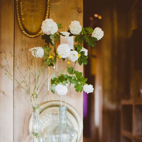 Safarizelt 6 Personen - einschließlich sanitärer Einrichtungen