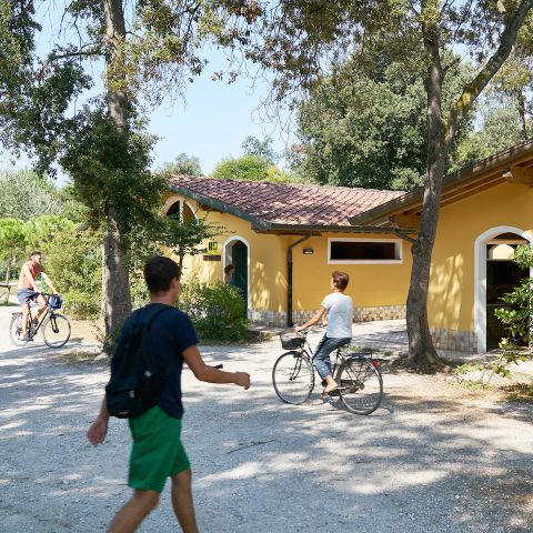 Europe Tents Campeggio Paradiso - Camping Lucca - Image N°2